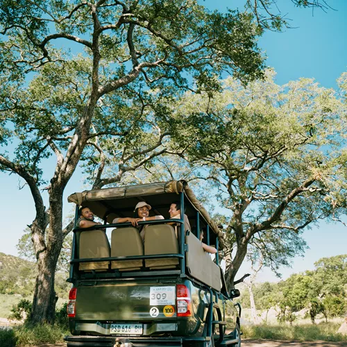 Cape to Delta Safari Trip
