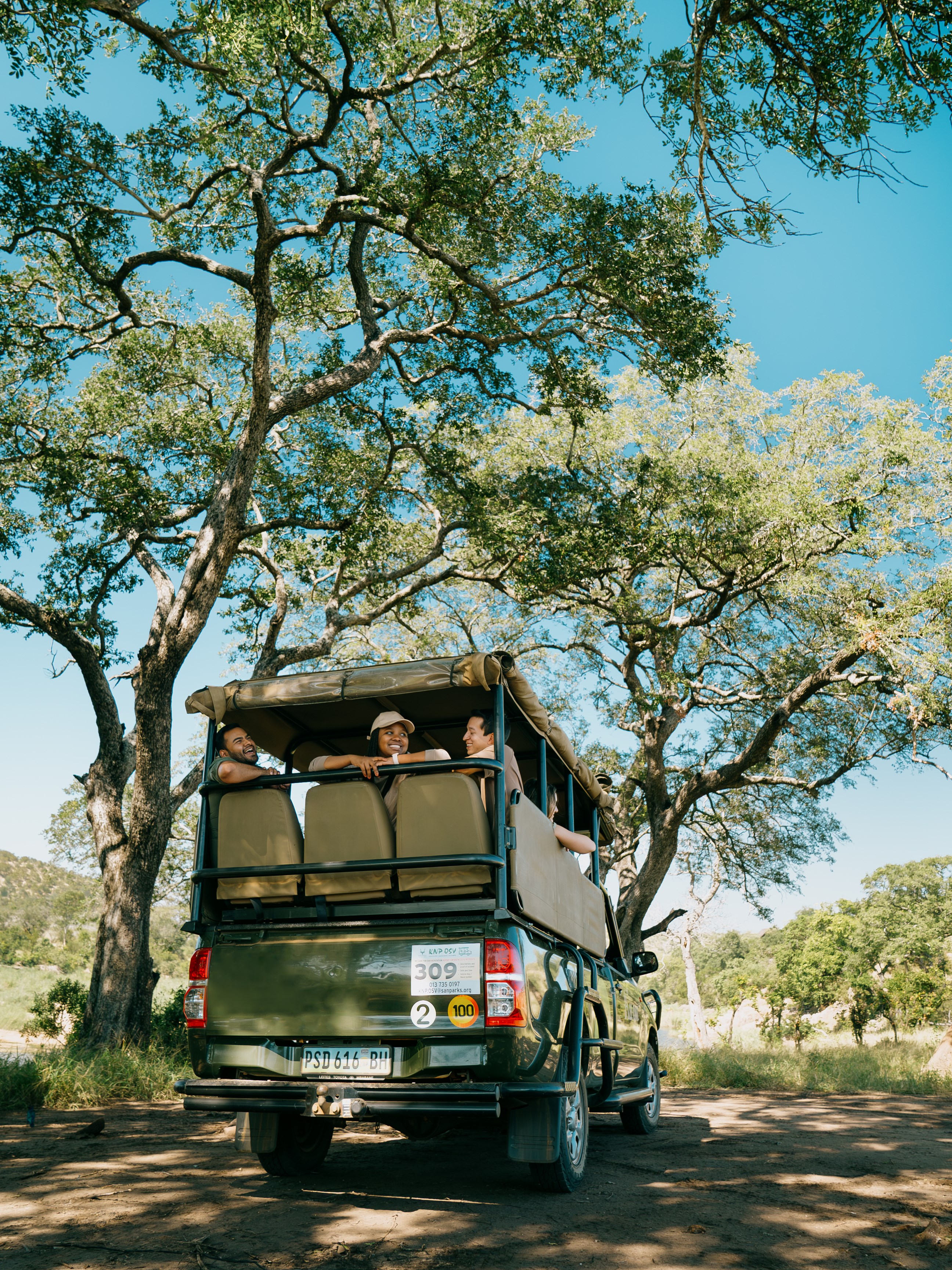 Cape to Delta Safari Tour (15 Days) | Contiki US