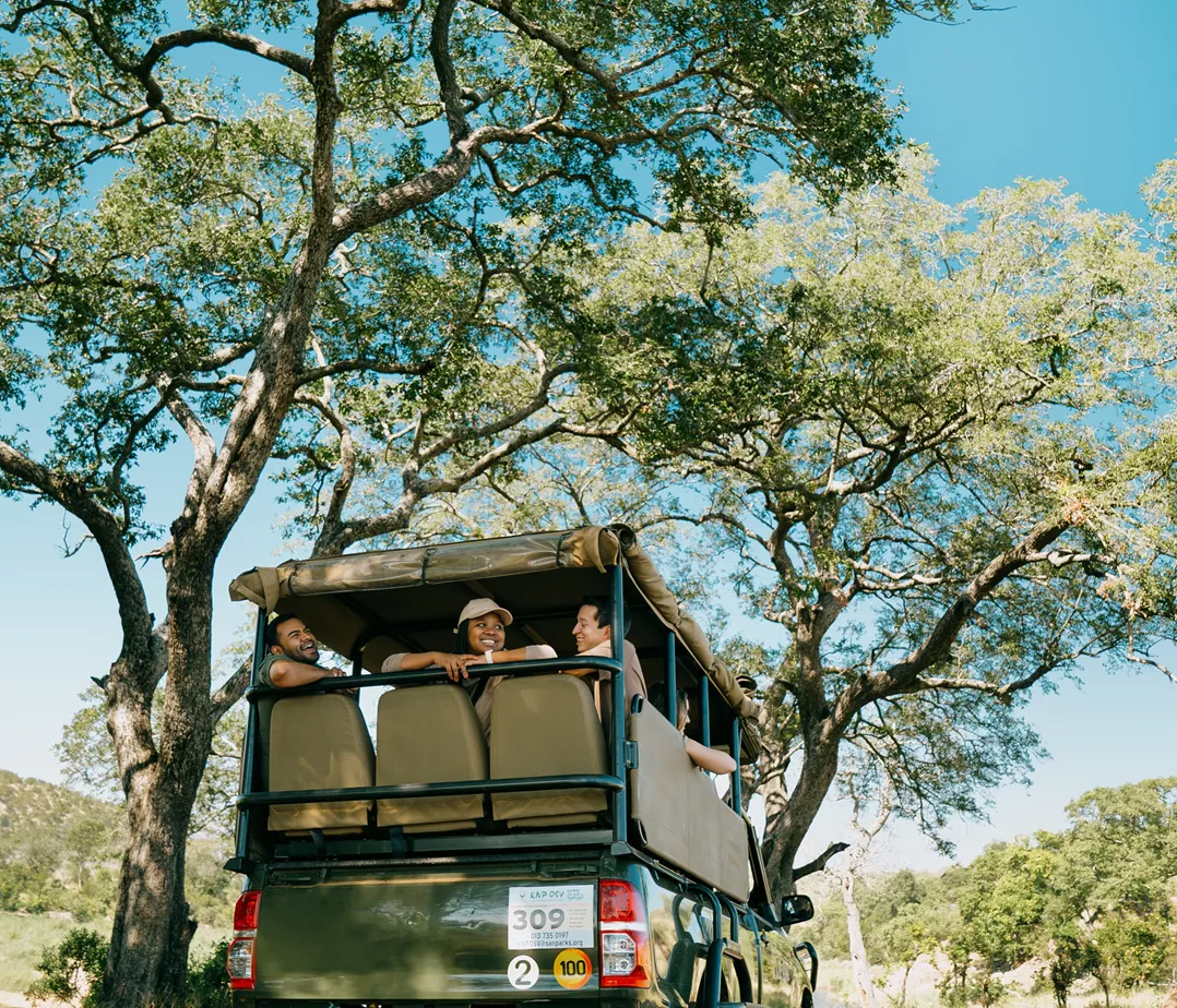 Cape to Delta Safari Tour (15 Days) | Contiki US