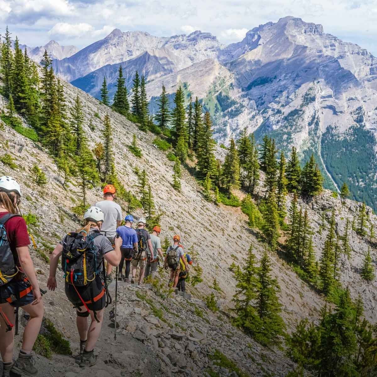 Group Young Hikers In Mountains