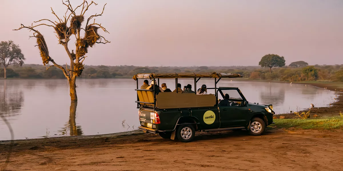 Cape, Safari and Falls Trip