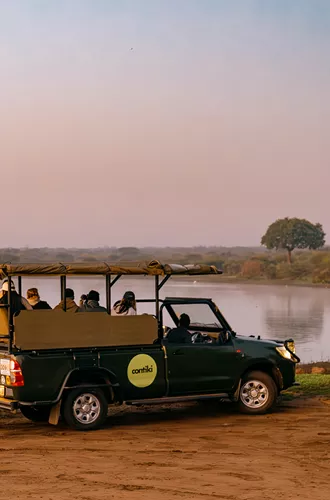 Cape, Safari and Falls Trip