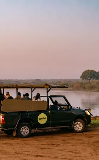 Cape, Safari and Falls Trip