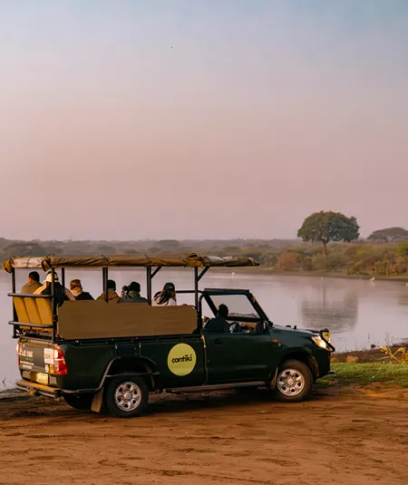 Cape, Safari and Falls Trip