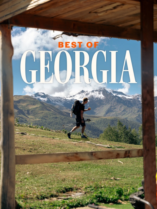Best of Georgia Tour
