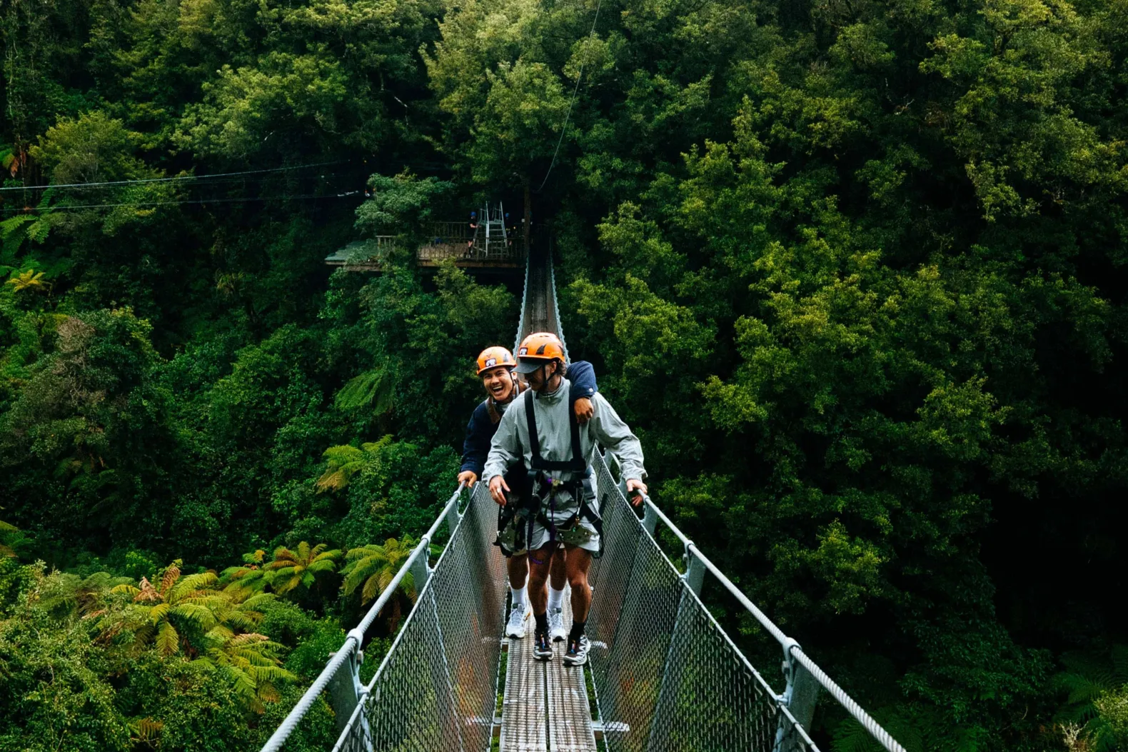 Travellers crossing a suspension bridge through native forest in New Zealand.