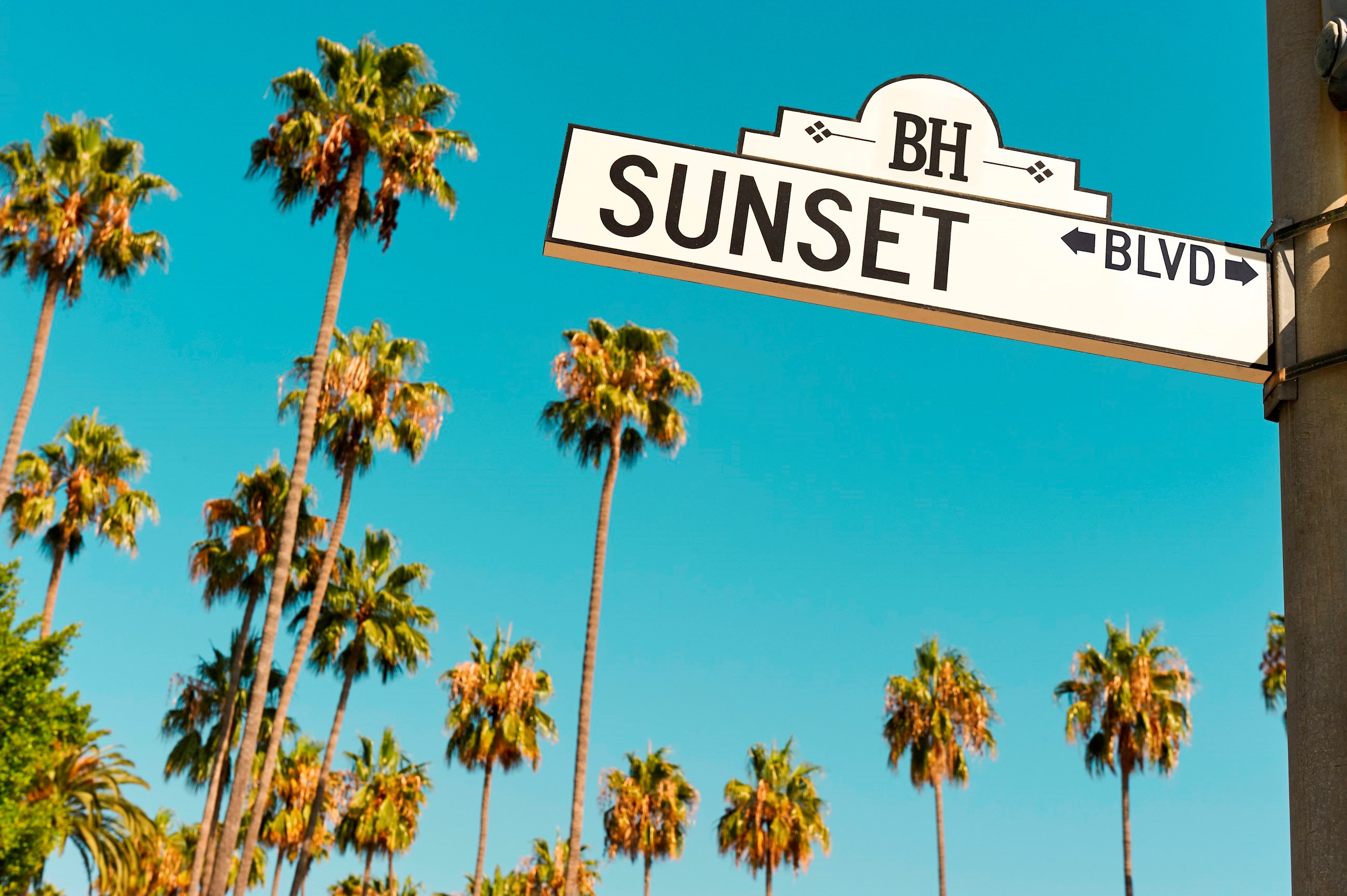   Hit up Sunset Strip