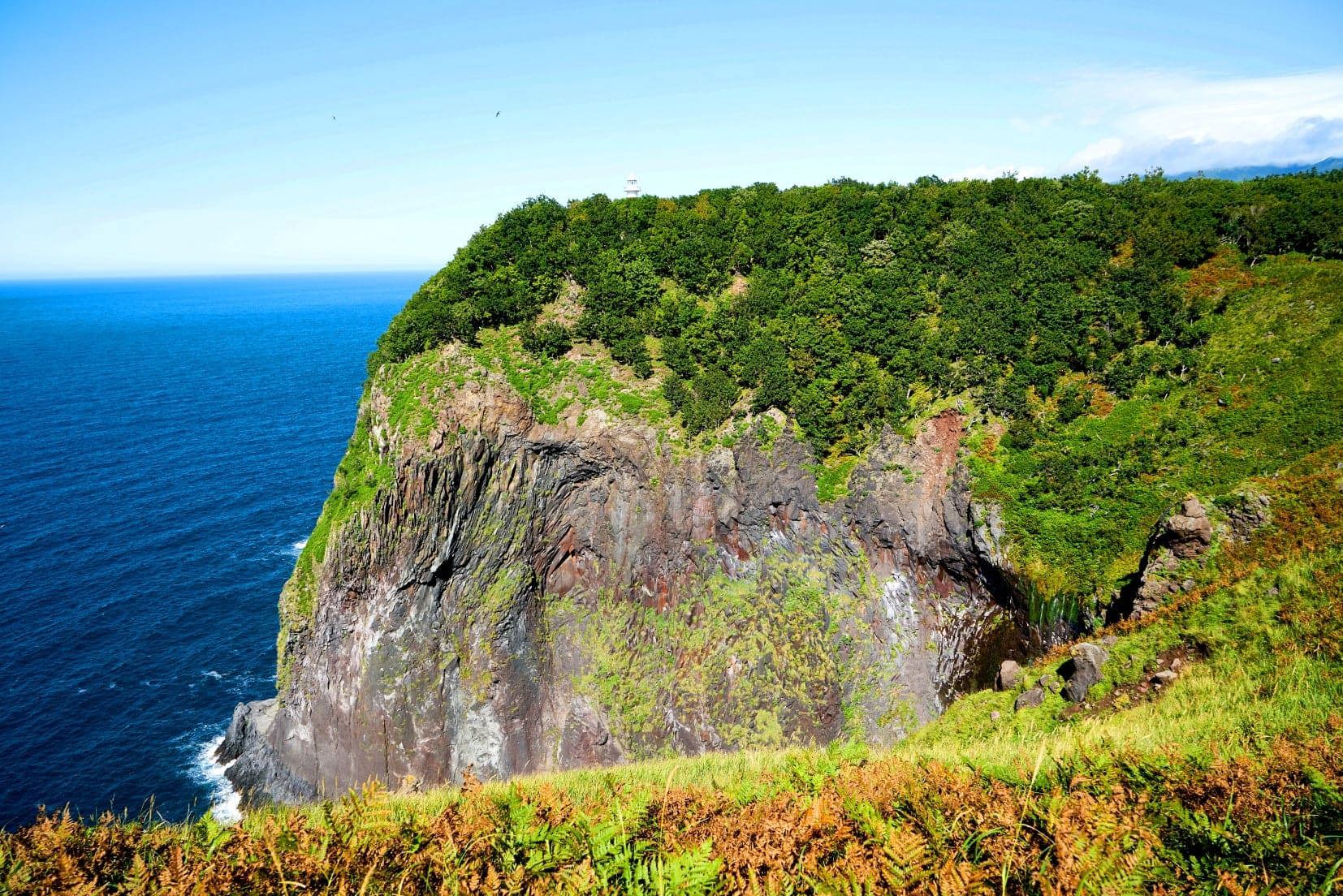Hike Through UNESCO-listed Shiretoko
