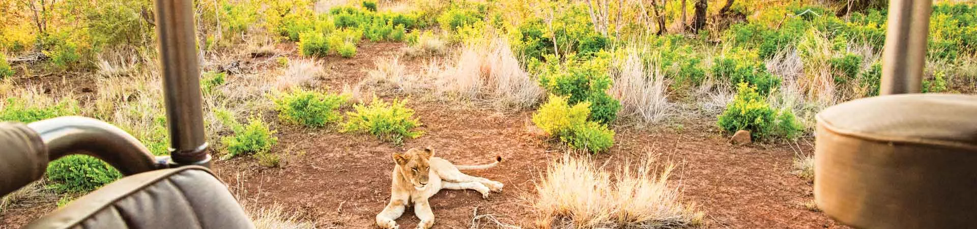 Zimbabwe Tours & Trips 2025 / 2026 | Contiki AU