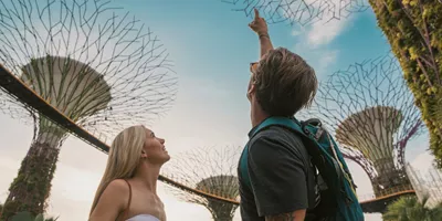 Travellers looking up at the Supertree Grove in Gardens by the Bay, Singapore - Contiki Best of Malaysia & Singapore Tour