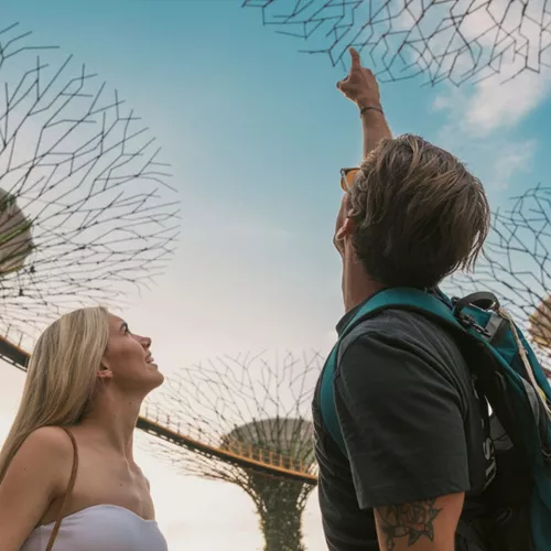 Travellers looking up at the Supertree Grove in Gardens by the Bay, Singapore - Contiki Best of Malaysia & Singapore Tour