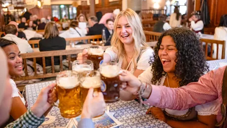 Group Of Friends Making A Toast During Oktoberfest