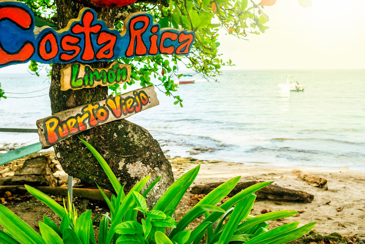 Tree With Some Spanish Signs Sea At The Back