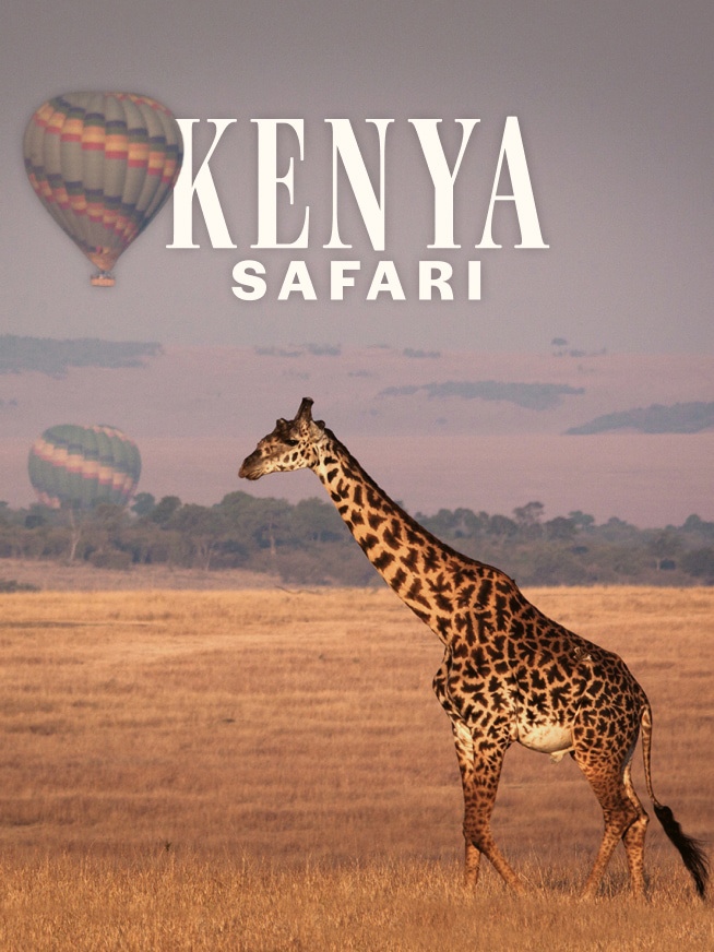 Kenya Safari Tour