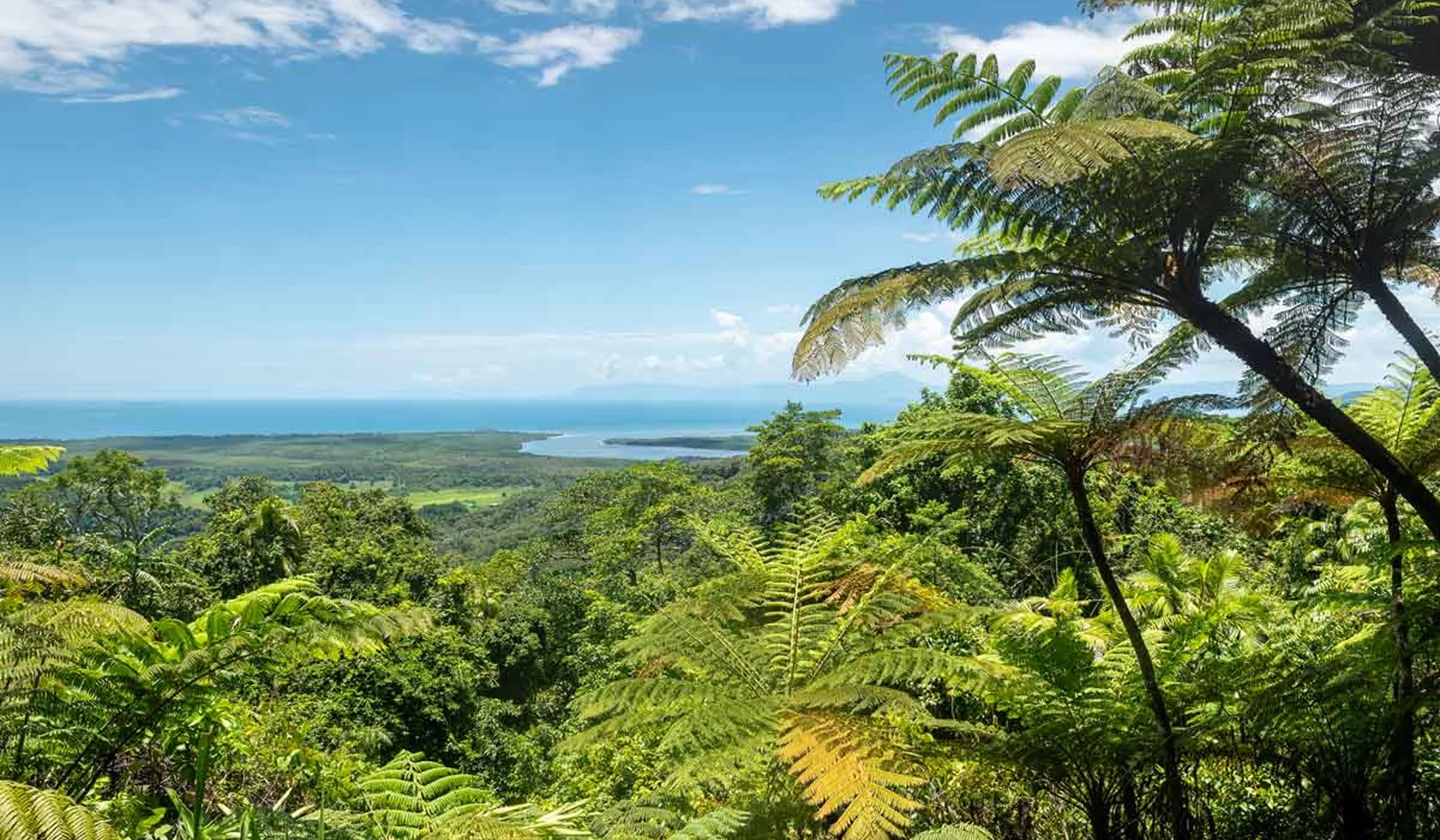 imgi_63_daintree-national-park-queensland-australia.jpg