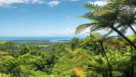 imgi_63_daintree-national-park-queensland-australia.jpg