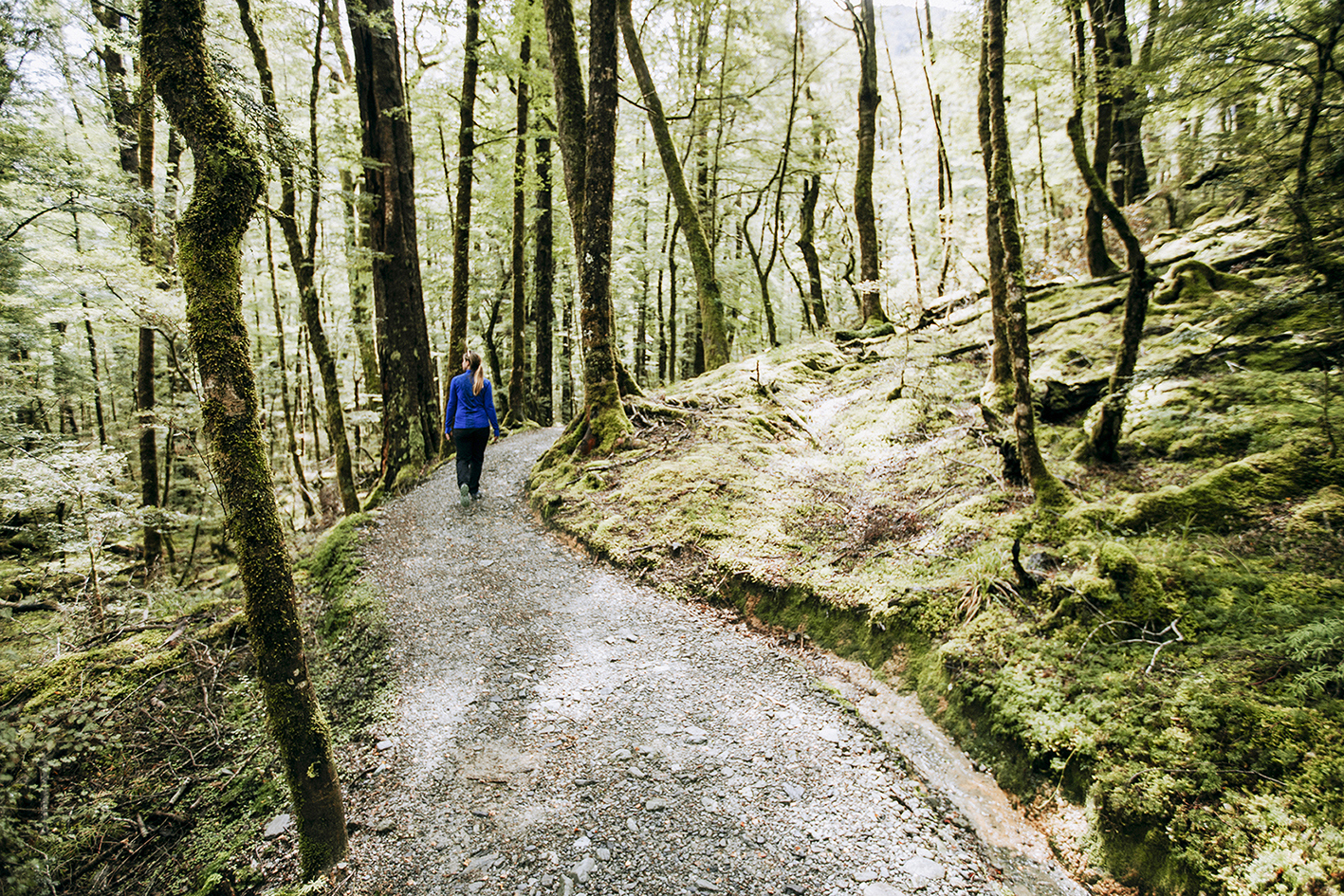Learn all about Routeburn Wildlife Protection (MAKE TRAVEL MATTER® Experience)
