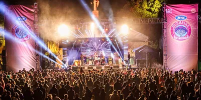 Cape, Safari & Falls with Bushfire Festival Trip