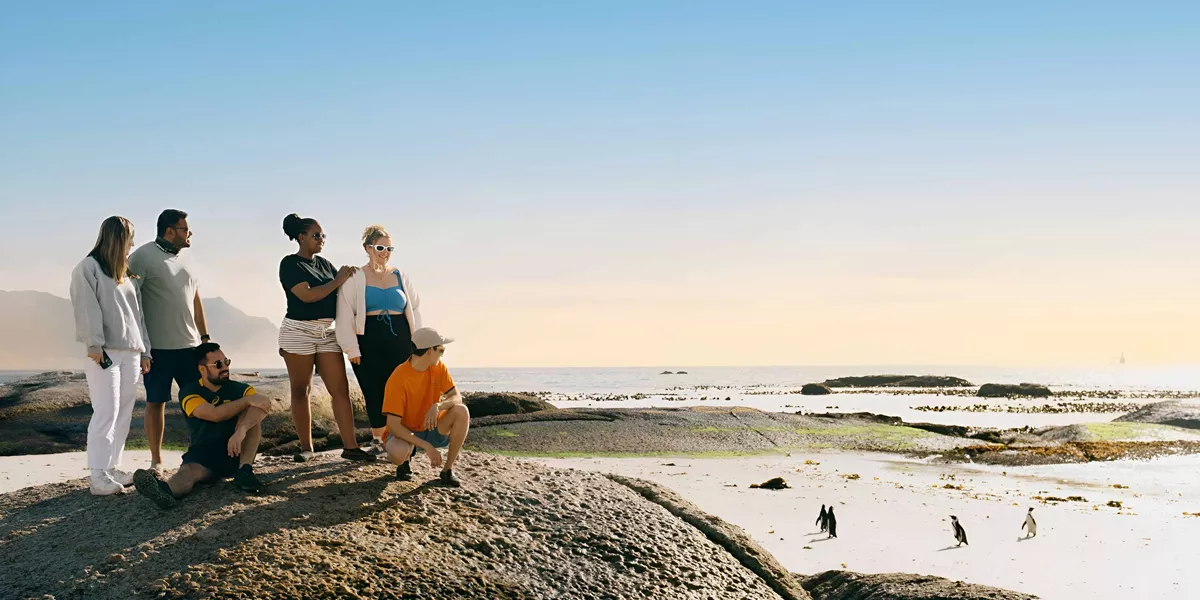 Group Of Young People Enjoying The View Of Pinguins