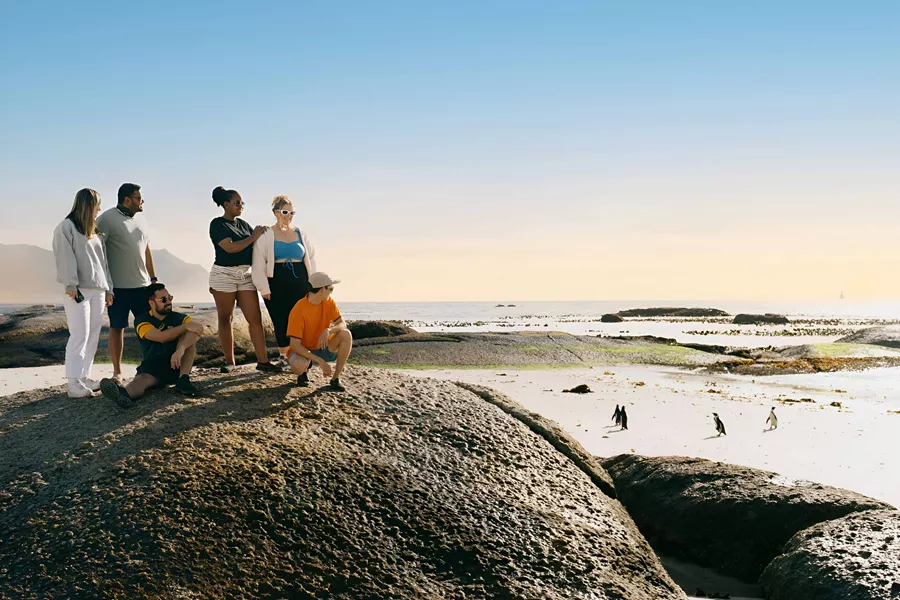 Group Of Young People Enjoying The View Of Pinguins