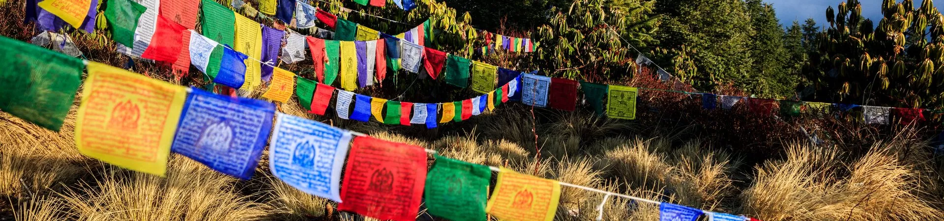 Nepal Trips and Travel Guide