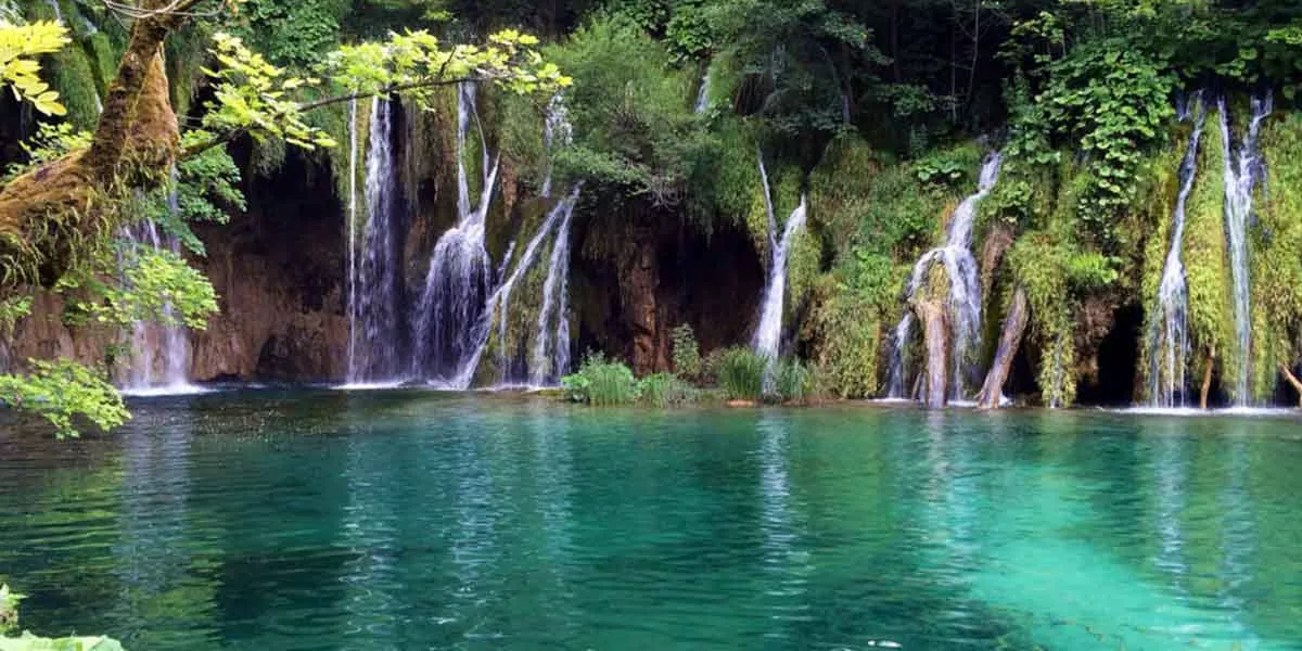 Beautiful Lake Surrounded By Mountains And Trees