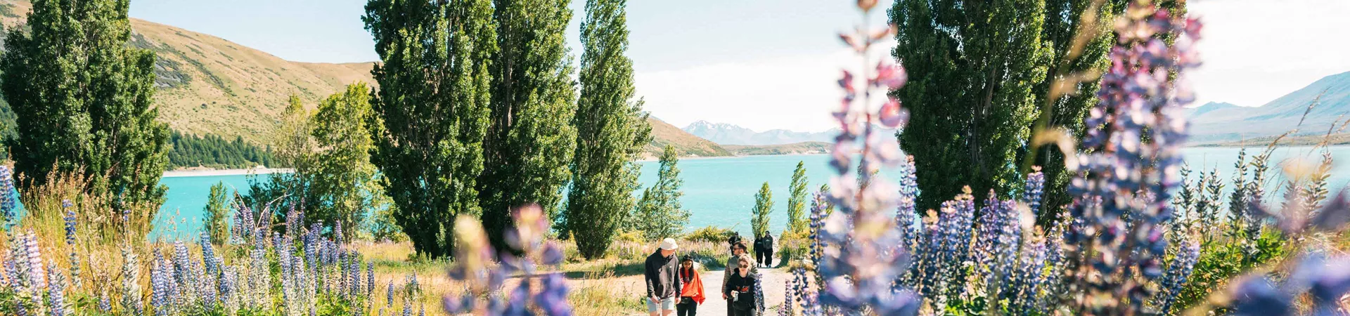 Scenic Image Of Flowers With Lake New Zealand