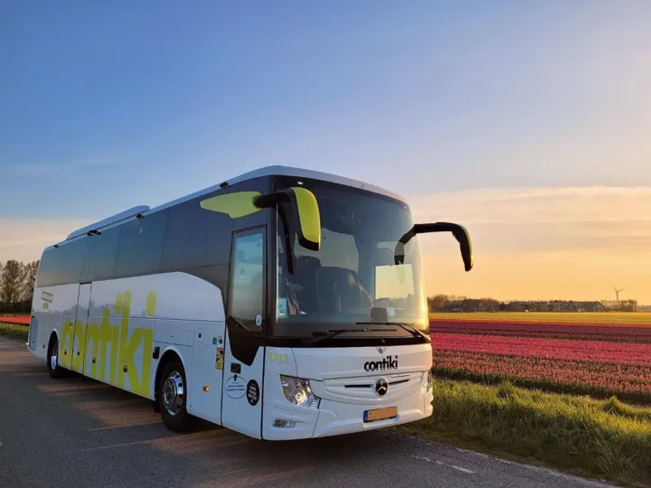 contiki-coach.jpg