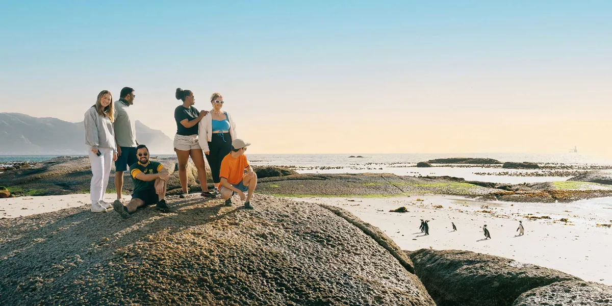 Sea Safari South Africa Tour 2025/2025 Contiki US