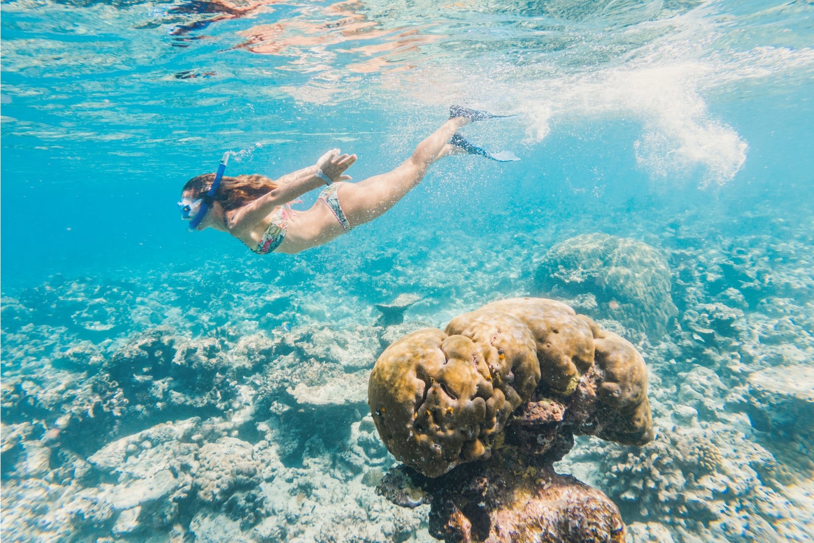 Snorkelling in South Malé Atoll