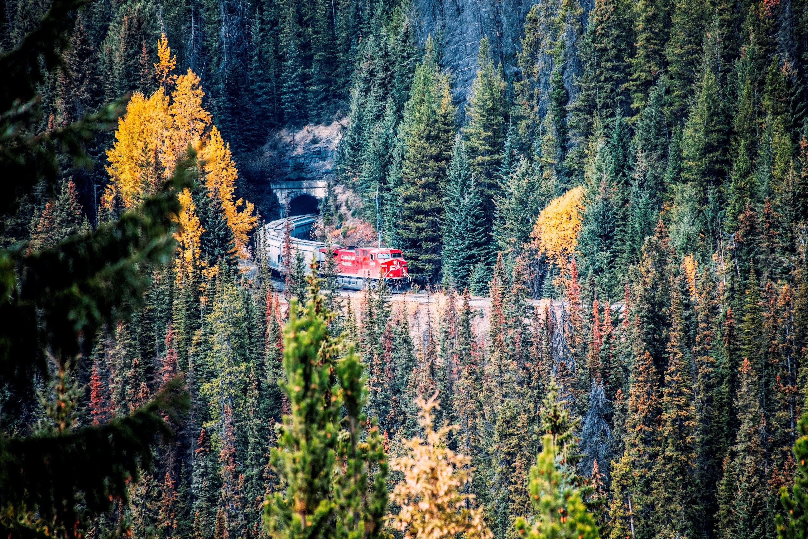 See the Spiral Train Tunnels