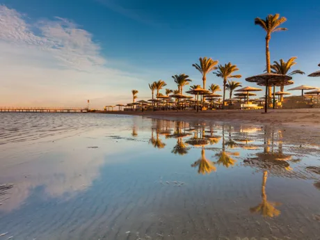 Palm trees along the edge of a beach with beach umbrellas in Hurgada, Egypt