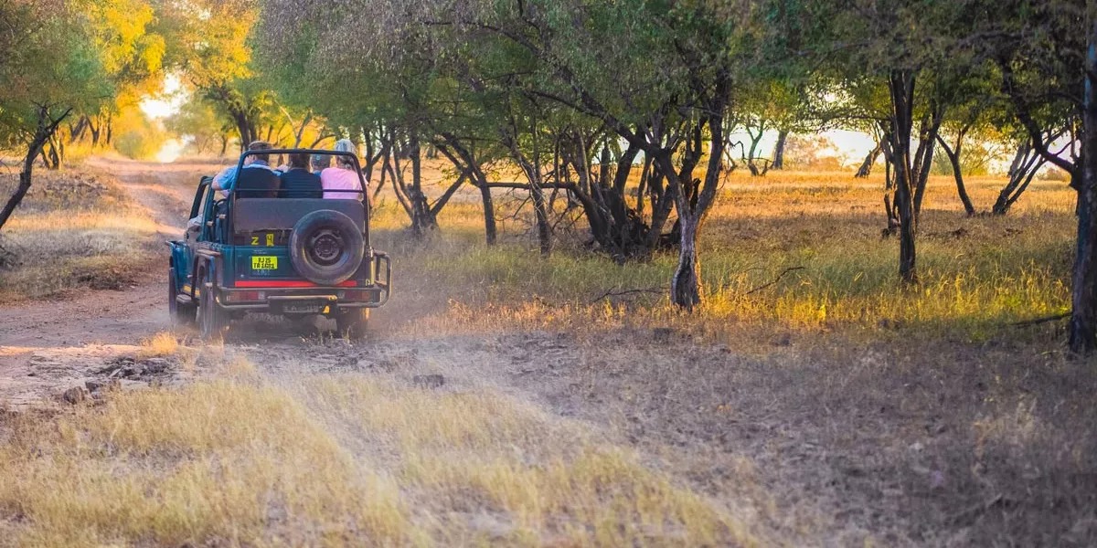 People enjoying a safari in a jeep in India.