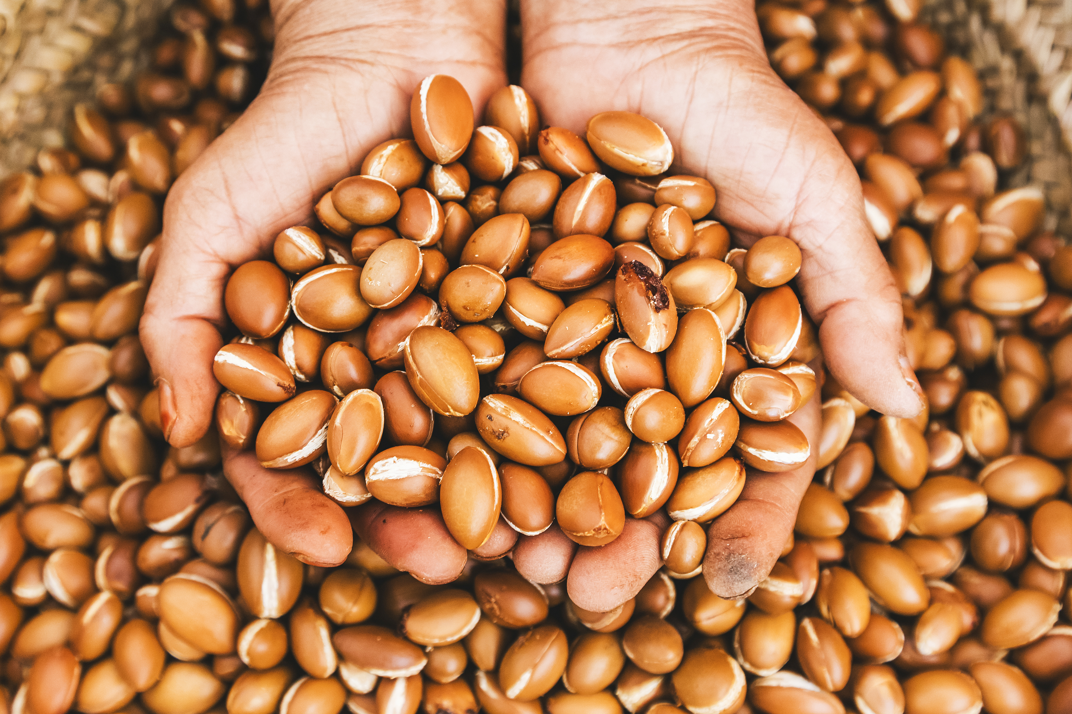 Visit an Argan Oil Co-op MAKE TRAVEL MATTER® Experience​
