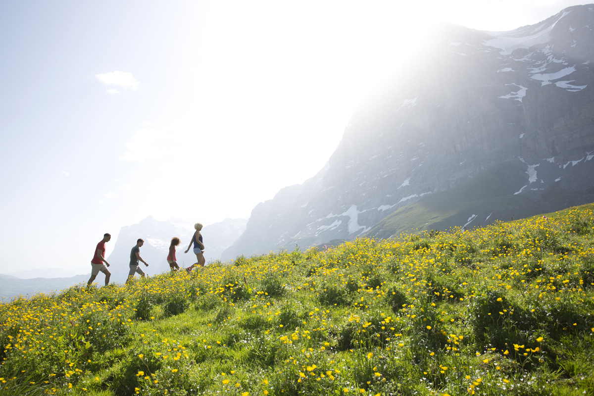 People Trekking Through Alps