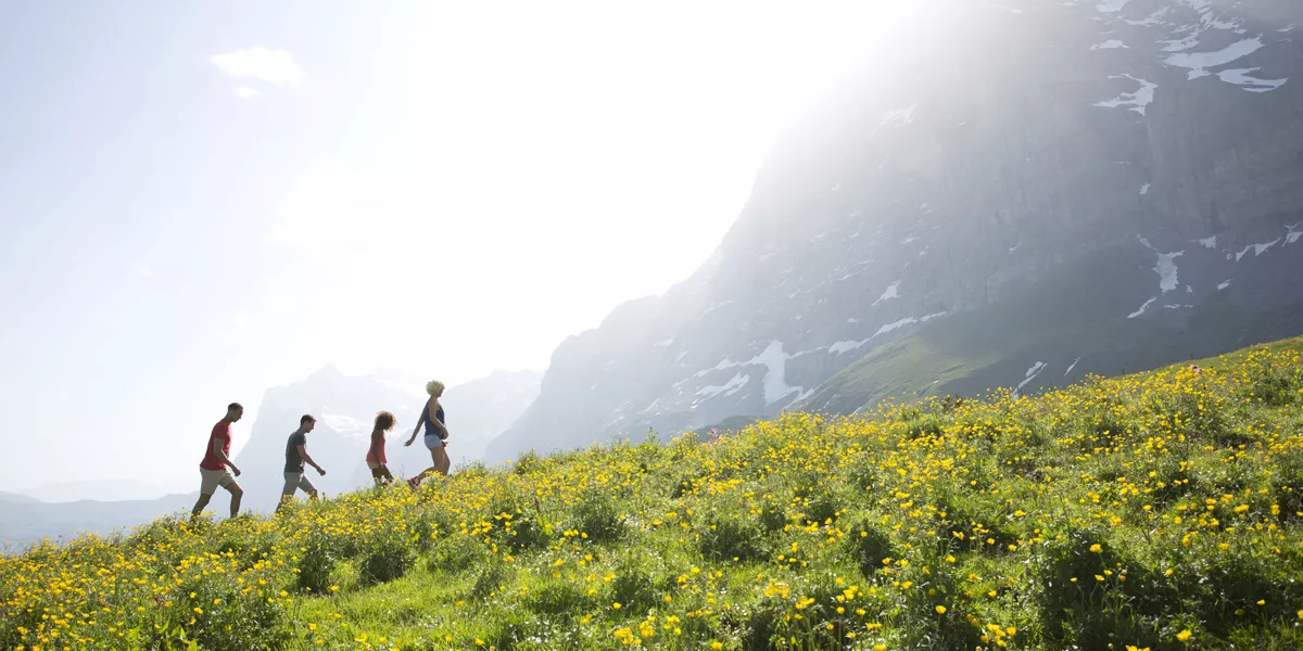 People Trekking Through Alps