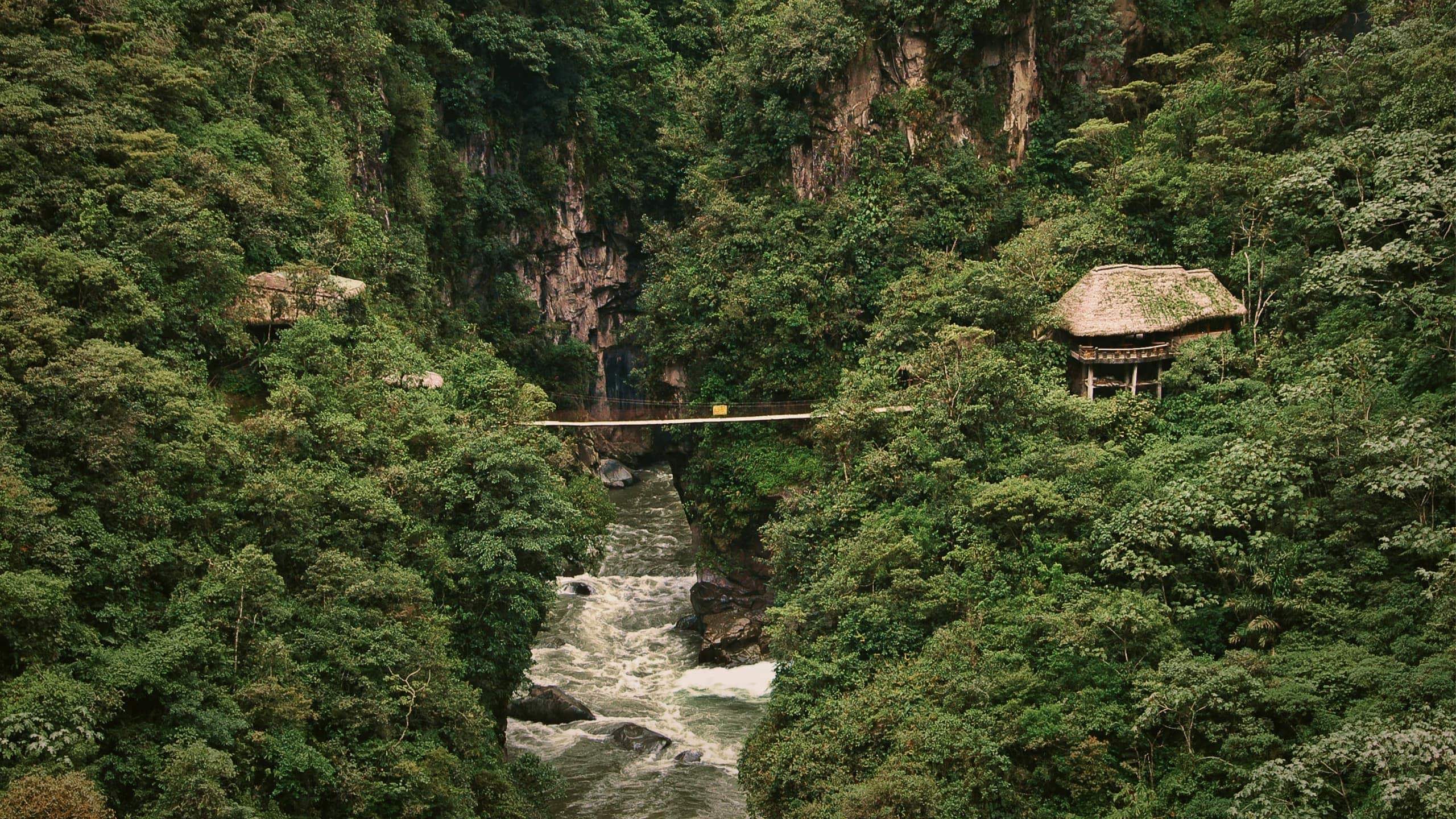 Suspension bridge over a rushing river gorge through dense cloud forest near Baños de Agua Santa Ecuador - Contiki Ecuador Tour