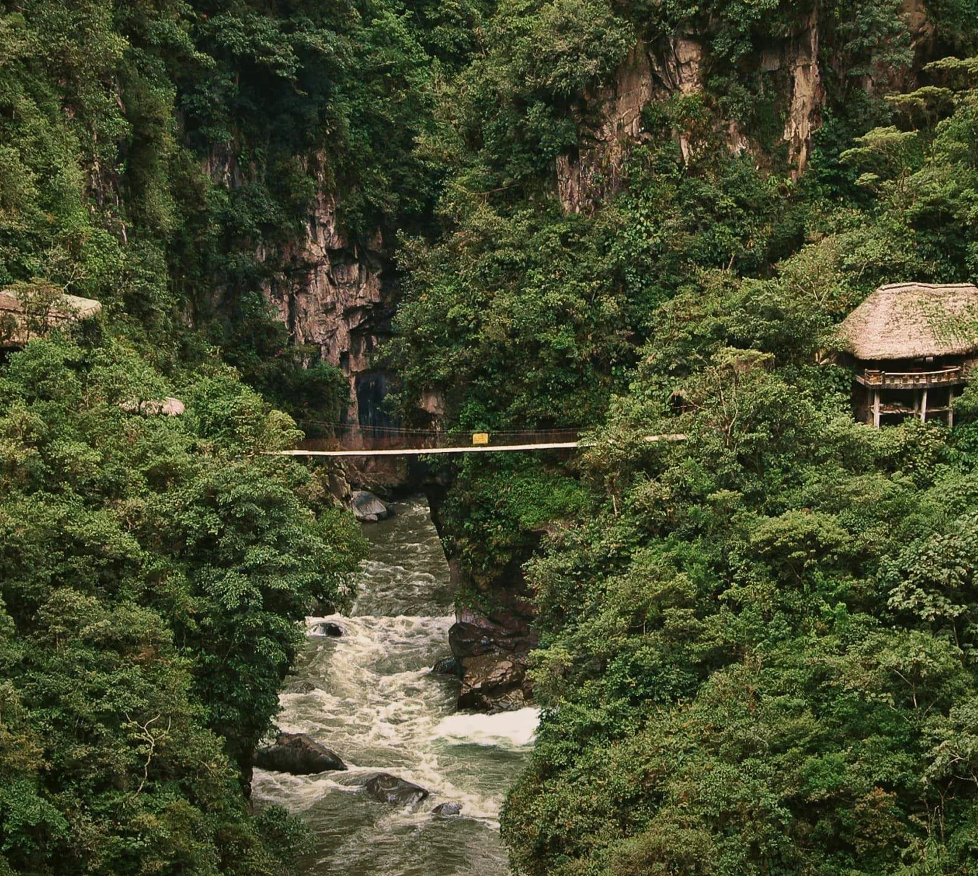 Suspension bridge over a rushing river gorge through dense cloud forest near Baños de Agua Santa Ecuador - Contiki Ecuador Tour