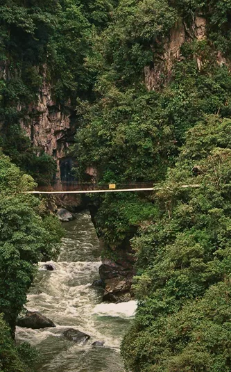 Suspension bridge over a rushing river gorge through dense cloud forest near Baños de Agua Santa Ecuador - Contiki Ecuador Tour