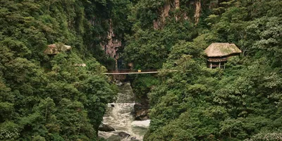 Suspension bridge over a rushing river gorge through dense cloud forest near Baños de Agua Santa Ecuador - Contiki Ecuador Tour