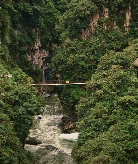 Suspension bridge over a rushing river gorge through dense cloud forest near Baños de Agua Santa Ecuador - Contiki Ecuador Tour