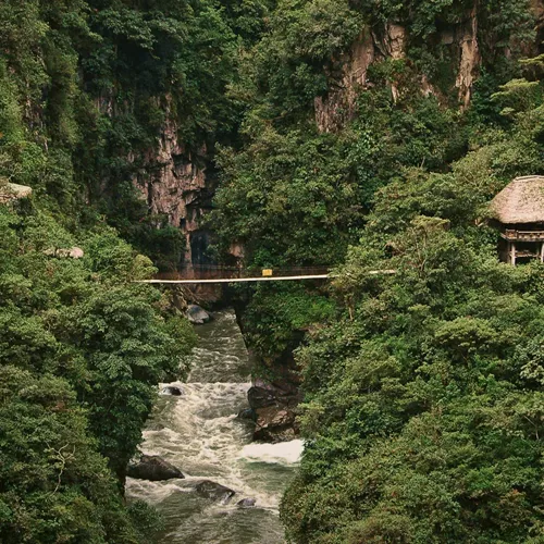 Suspension bridge over a rushing river gorge through dense cloud forest near Baños de Agua Santa Ecuador - Contiki Ecuador Tour