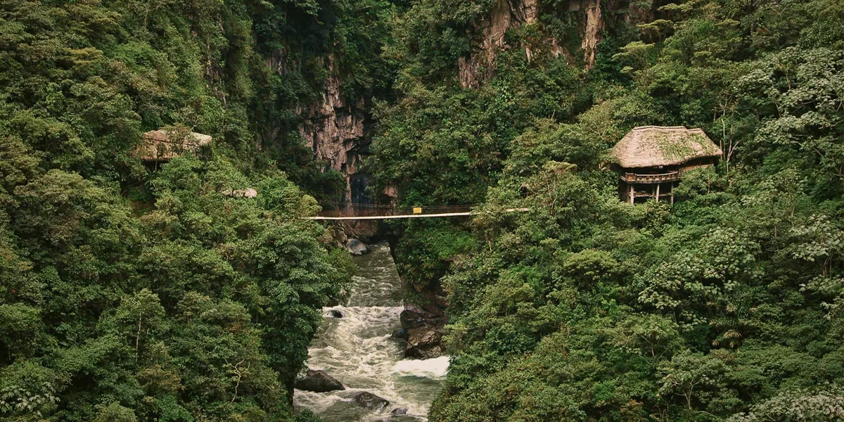 Suspension bridge over a rushing river gorge through dense cloud forest near Baños de Agua Santa Ecuador - Contiki Ecuador Tour