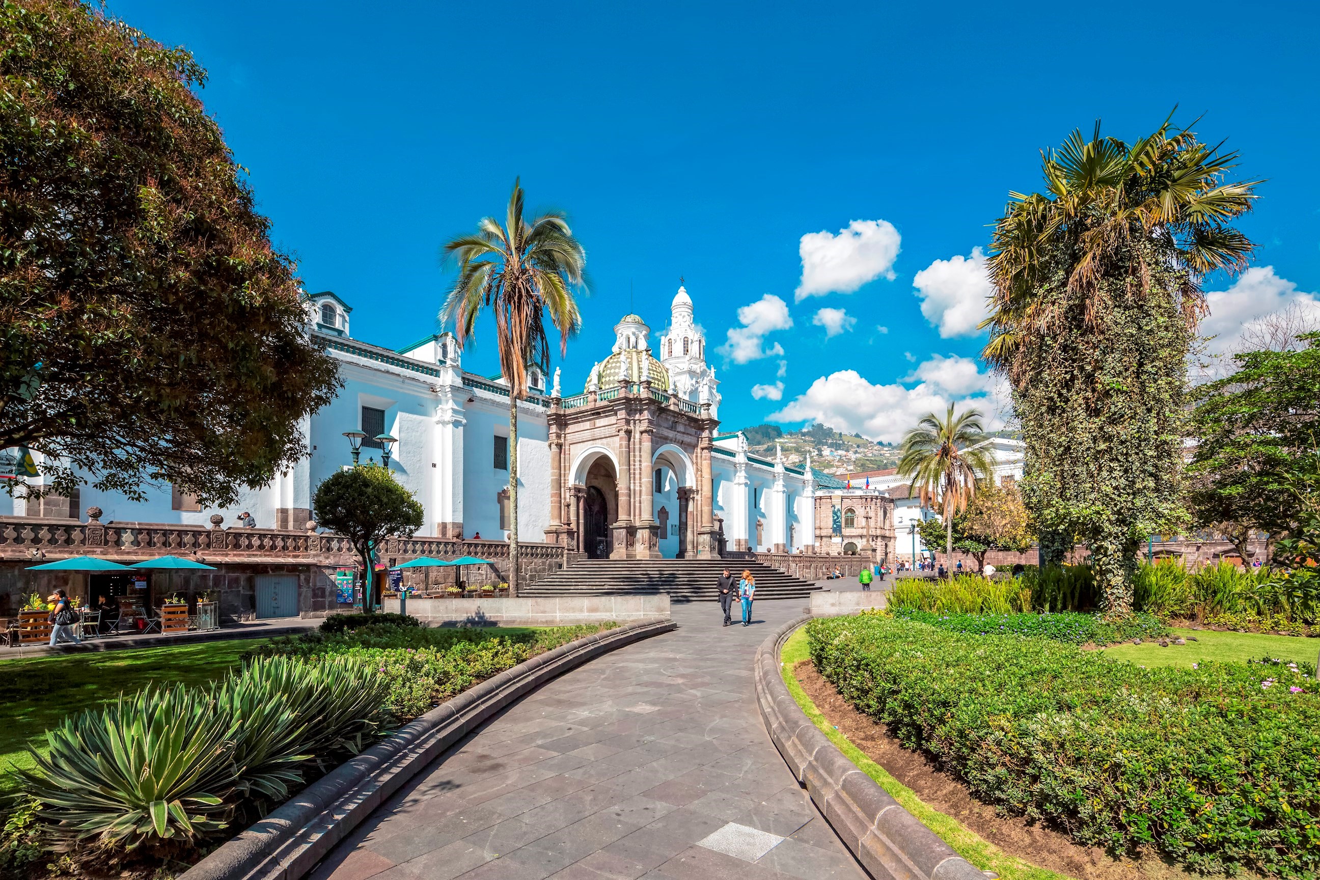 Tour Quito with a local  
