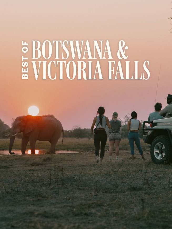 Best of Botswana & Victoria Falls Tour