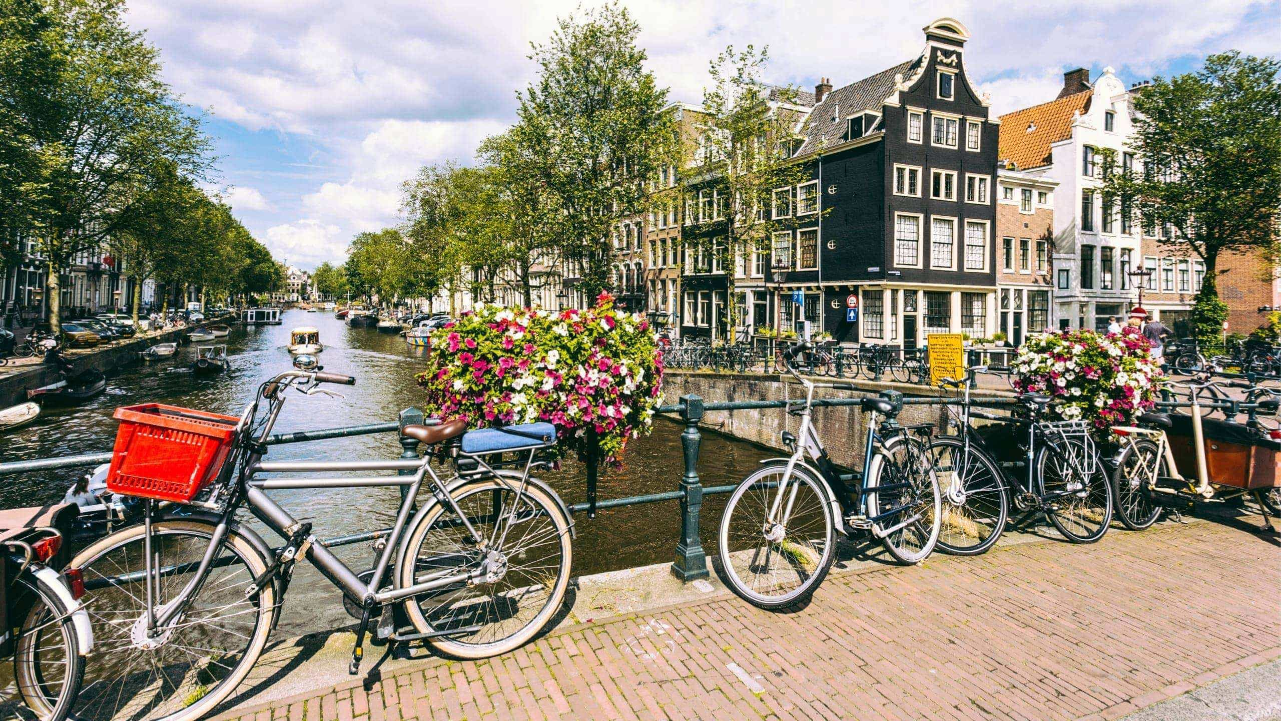 Bicycles and flower baskets on a bridge over a tree-lined Amsterdam canal with traditional Dutch canal houses in the background - Contiki Amsterdam Easter Tour