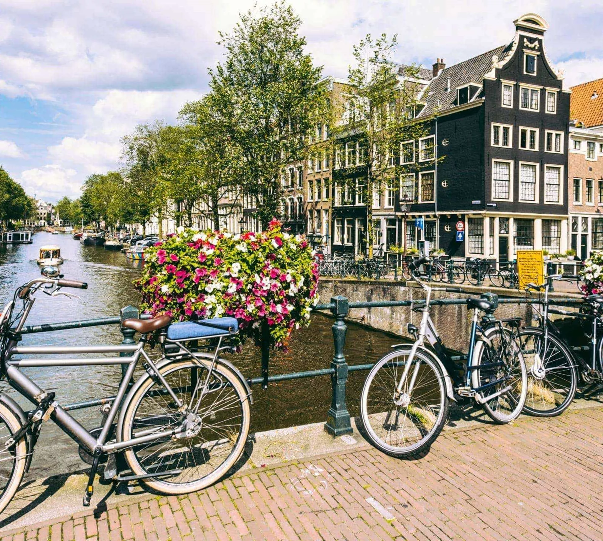 Bicycles and flower baskets on a bridge over a tree-lined Amsterdam canal with traditional Dutch canal houses in the background - Contiki Amsterdam Easter Tour