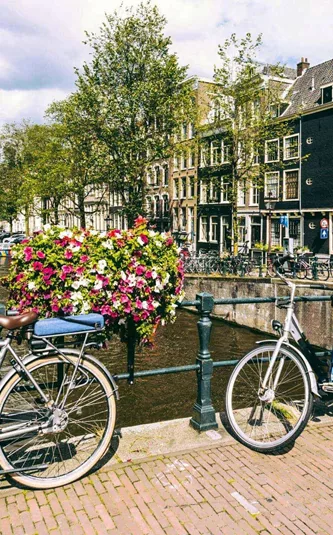 Bicycles and flower baskets on a bridge over a tree-lined Amsterdam canal with traditional Dutch canal houses in the background - Contiki Amsterdam Easter Tour