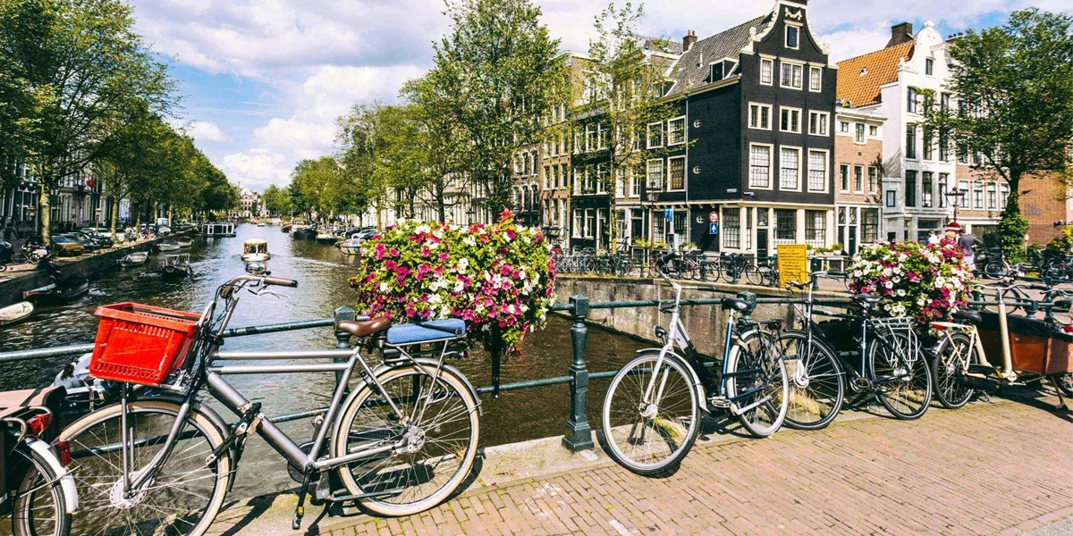 Bicycles and flower baskets on a bridge over a tree-lined Amsterdam canal with traditional Dutch canal houses in the background - Contiki Amsterdam Easter Tour