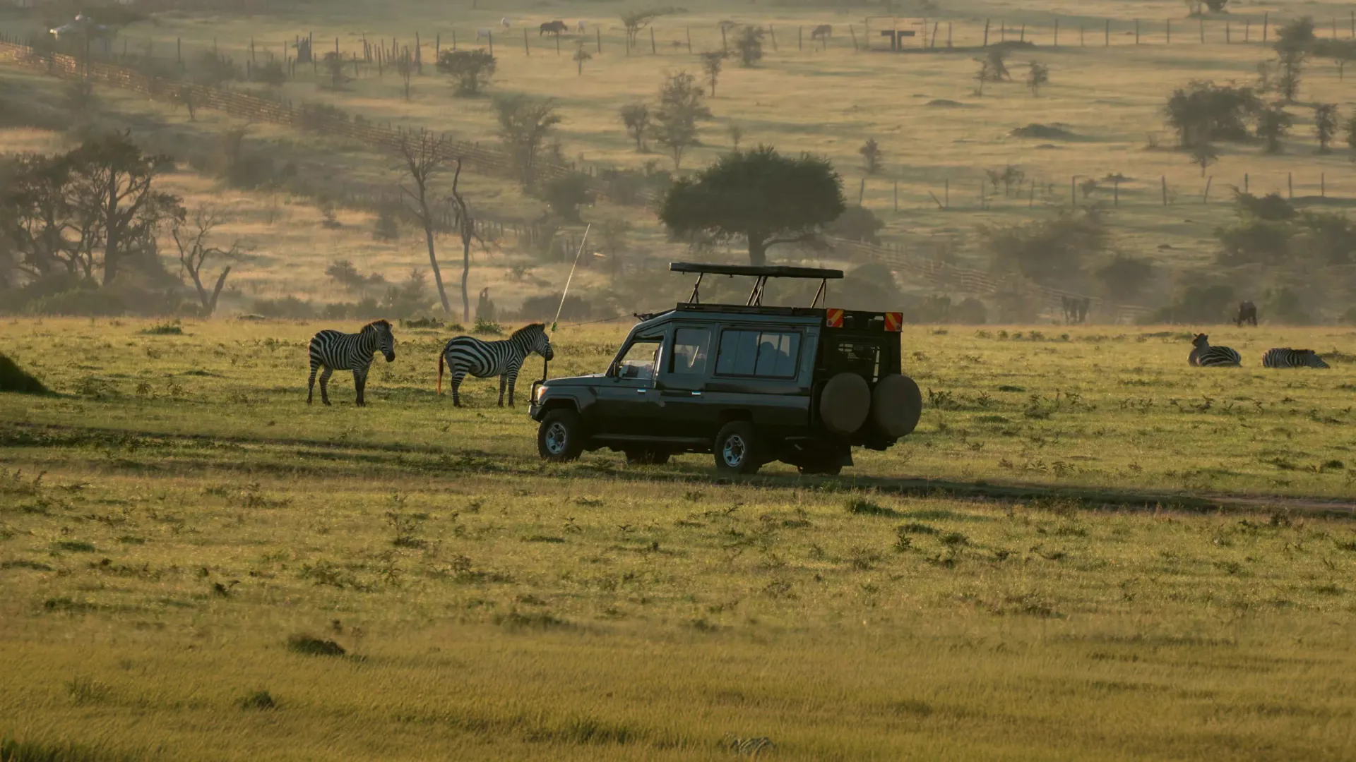 A safari vehicle drives across the grasslands of Kenya as zebras graze nearby, with acacia trees and rolling savannah stretching into the distance.